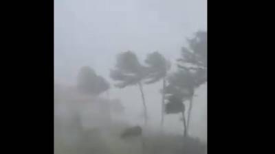 VIDEO: ¡De esto se salvó Honduras! Huracán Lisa muestra su fuerza en Belice