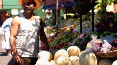 Variedades de frutas y vegetales en un mercado sampedrano. Foto: Amílcar Izaguirre