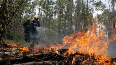 Más del 90 % de los incendios son causados por el hombre, según las autoridades hondureñas. Foto de archivo.
