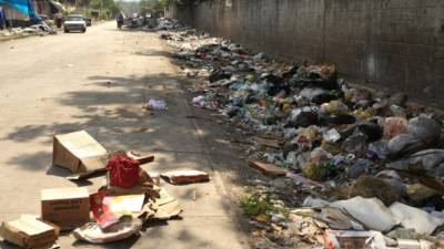 Entre la 15 y 16 avenidas de la 10 calle en la colonia Libertad está el terreno lleno de basura. Foto: Yoseph Amaya