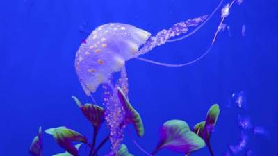 Foto de istockphoto.com.