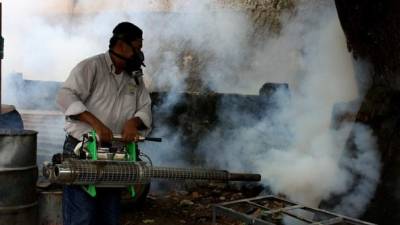 Pese a las medidas contra el zancudo transmisor, el número de casos de dengue sigue en aumento.
