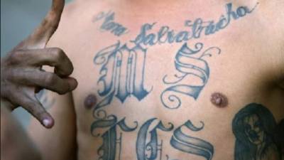 La MS 13 tiene una fuerte presencia en Nueva York.