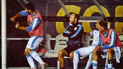 Luis Suárez armó tremendo berrinche en el banco de suplentes de Uruguay.