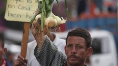Los productores de cebolla protestaron esta semana contra la importación del producto.