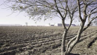 La nueva planta de ensamblaje de Audi en San José Chiapa, estado de Puebla, reemplaza tierras de pastoreo y maizales en las afueras de esa localidad.