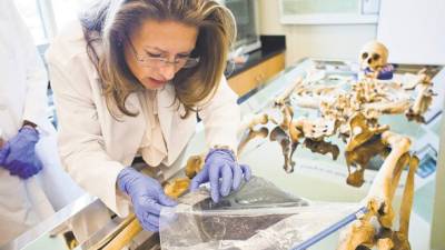 Lori Baker examina los restos de un cadáver enncontrado en la frontera entre EE.UU. y Mexico en su laboratorio de la Universidad de Baylor.