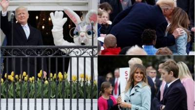 Donald y Melania Trump celebraron ayer la tradicional carrera de Pascua en la Casa Blanca, con cientos de pequeños invitados que disfrutaron de la carrera de huevos, cuentos y el infaltable conejo.