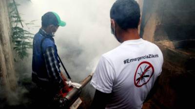 Según los expertos, la fumigación puede ser efectiva contra el mosquito adulto, pero no tanto contra las larvas. Foto: EFE/Casa Presidencial