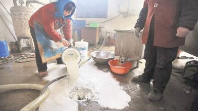 Un agricultor chino bota leche cruda en la afueras de Beijing, China.