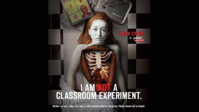 De acuerdo con Peta, cada año más de diez millones de animales son diseccionados en las escuelas secundarias y universidades de ciencia.