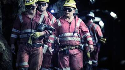 La actividad alcanzó un valor exportado de 204.4 millones de dólares, menor en $6.2 millones a lo reportado del año anterior.