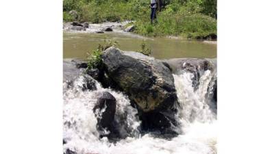 En el cerro Cardona nacen varias fuentes de agua que suplen a los habitantes de un buen sector de Puerto Cortés.