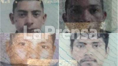 El cuádruple crimen se perpetró cerca de la reserva biológica de Montecillo, por la parte alta del municipio de Ajuterique.