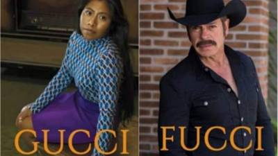 El actor mexicano Sergio Goyri llamó 'pinche india' a la actriz nominada al Óscar Yalitza Aparicio; después se disculpó en sus redes sociales, pero eso no paró los memes que lo criticaron por su comentario.
