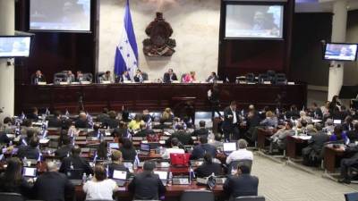 La propuesta de ley se encuentra en manos de una comisión de dictamen del Legislativo.