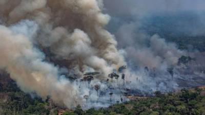 La Amazonía se ha convertido en centro de una crisis ambiental y de tensiones diplomáticas entre Brasil y países europeos, principalmente Francia, ante los devastadores incendios que consumen al principal pulmón del mundo.