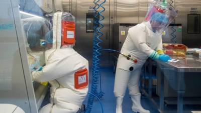El Gobierno chino negó que el coronavirus haya sido creado en un laboratorio de Wuhan, ubicado a unos 11 kilómetros del mercado de mariscos donde se habría originado el brote./AFP.