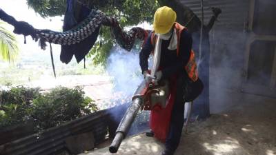 El personal de la alcaldía, junto con el de Salud, realiza fumigaciones en los sectores donde hay más índices de infestación de zancudos.