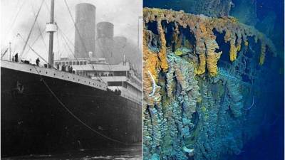 Cinco inmersiones a lo largo de ocho días fueron necesarias para tomar estas fotografías en calidad 4K.