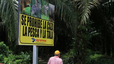 Empresarios participan en la protección de animales en La Lima.