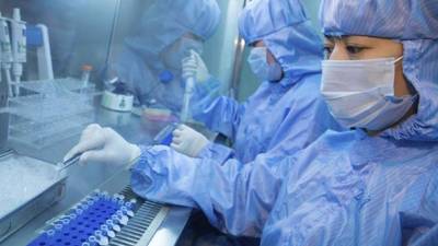 Varios empleados de un laboratorio trabajan en la producción del reactivo de detección del virus del ébola en Shanghái.