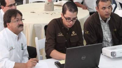 El precio promedio de la subasta fue de $6.64 la libra, superior al del mercado internacional. Foto: Andro Rodríguez