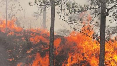 Uno de los incendios ocurridos el fin de semana.