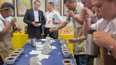 Momento en que catan los cafés de excelencia.