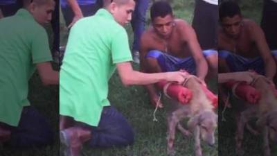 El caso fue cerrado porque ya se procedió por la vía administrativa.