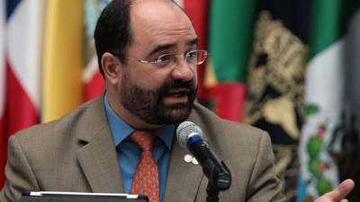 El secretario ejecutivo de la Comisión Interamericana de los Derechos Humanos (CIDH), Emilio Álvarez Icaza.