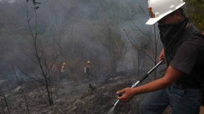 Un miembro del Cuerpo de Bomberos de Honduras combate un incendio forestal. Foto: EFE