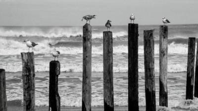 MEX63 MATAMOROS (MÉXICO), 25/08/2017.- Vista general de playa Bagdad,en el municipio de matamoros, en el estado de Tamaulipas (México), que se muestra al paso del huracán Harvey por el Golfo de México hoy, viernes 25 de agosto de 2017. El huracán Harvey, de categoría 4, causará en las próximas horas tormentas intensas en el noroccidental estado mexicano de Tamaulipas, frontera con EE.UU., con rachas de viento de más de 70 kilómetros por hora, pronosticó hoy el Sistema Meteorológico Nacional (SMN). EFE/Gastón Saldaña  