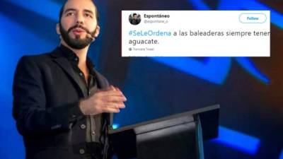 El presidente salvadoreño Nayib Bukele, quien asumió el cargo el sábado, provocó una revolución en Twitter, después de ordenar varios despidos de su Gobierno.