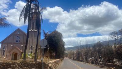 Los incendios en Hawái, que han dejado al menos 93 muertos, dejaron un paisaje que asemejaba estar bombardeado, pero a pesar de la desolación habían focos de una esperanza improbable.