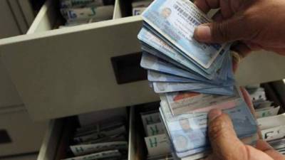 Momento en el que se mostraban algunas licencias en la sede de Vialidad y Transporte. Foto de archivo.