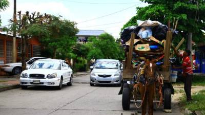La Alcaldía busca regular la labor de los carreteros en San Pedro Sula.