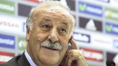 Vicente del Bosque dijo que lo importante es que los éxitos puedan llegar en el Mundial.