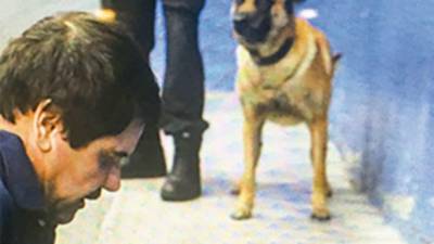 Medios mexicanos divulgaron dos imágenes de “El Chapo” en El Altiplano. Los perros ‘huele-Chapo’ lo custodian.