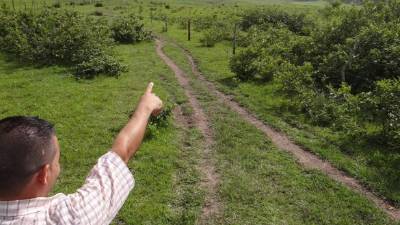 Un poblador de Río Amarillo señala el sitio elegido para el aeródromo.