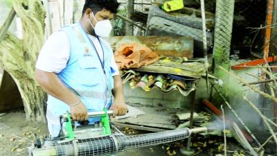 Personal de la Región Metropolitana de Salud y la Gerencia de Salud de la municipalidad eliminan criaderos en viviendas de barrio Cabañas y la colonia Prieto.