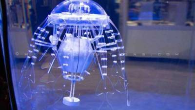 El robot, formado por una cabeza de goma que termina en ocho 'tentáculos' fabricados con una impresora 3D, utiliza un sistema basado en la resonancia para propulsarse. Foto AFP