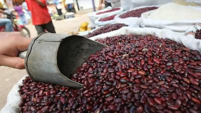 La demanda nacional de frijoles es de 2.6 millones de quintales.