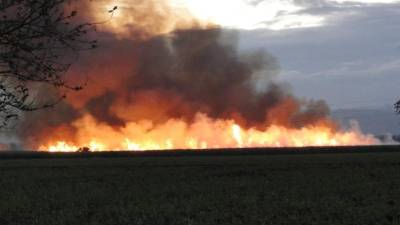 Las empresas azucareras meten fuego a las cañeras para sacar la cosecha, el humo cubre kilómetros. Fotos: Efraín Molina