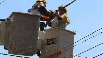 Cuadrillas trabajando en los circuitos de la estatal.