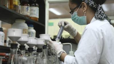 El laboratorio de la Fhia analiza muestras de suelo y tejido vegetal que proceden de plantaciones agrícolas de todo el país.