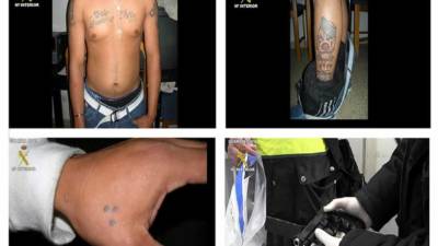 Fotografías facilitadas por la Guardia Civil española de la operación Cruasán contra la MS.