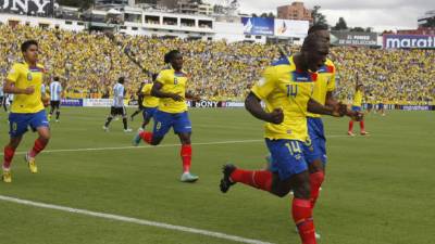 La selección de Ecuador se prepara para enfrentarse a Honduras, Suiza y Francia.