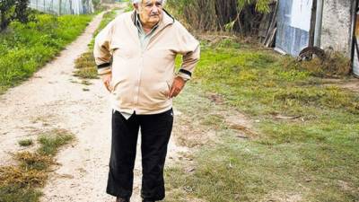 José Mujica, presidente de Uruguay, confía en que su país sea centro de experimentación de los usos industriales y medicinales de la hierba.