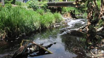 La quebrada El Chaparro destila olores putrefactos.